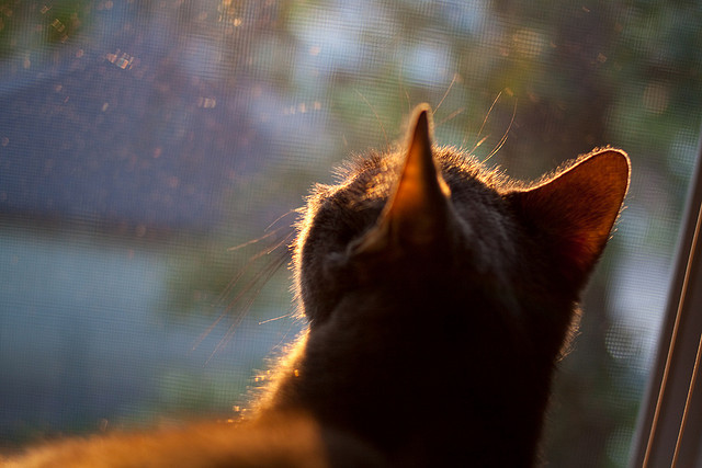 开云·体育官网-中超联赛国足惨败 球迷分析失利原因，国足参加中超