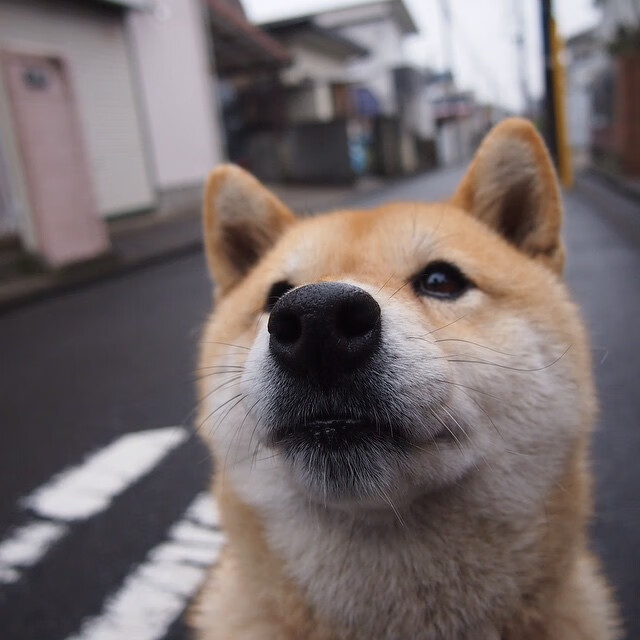 Kaiyun APP-体育新闻中心构建体育赛事版权多方协同管理体系,体育赛事媒体