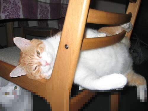 Kaiyun APP-冠军划频–划幅完美配合，速划冠军