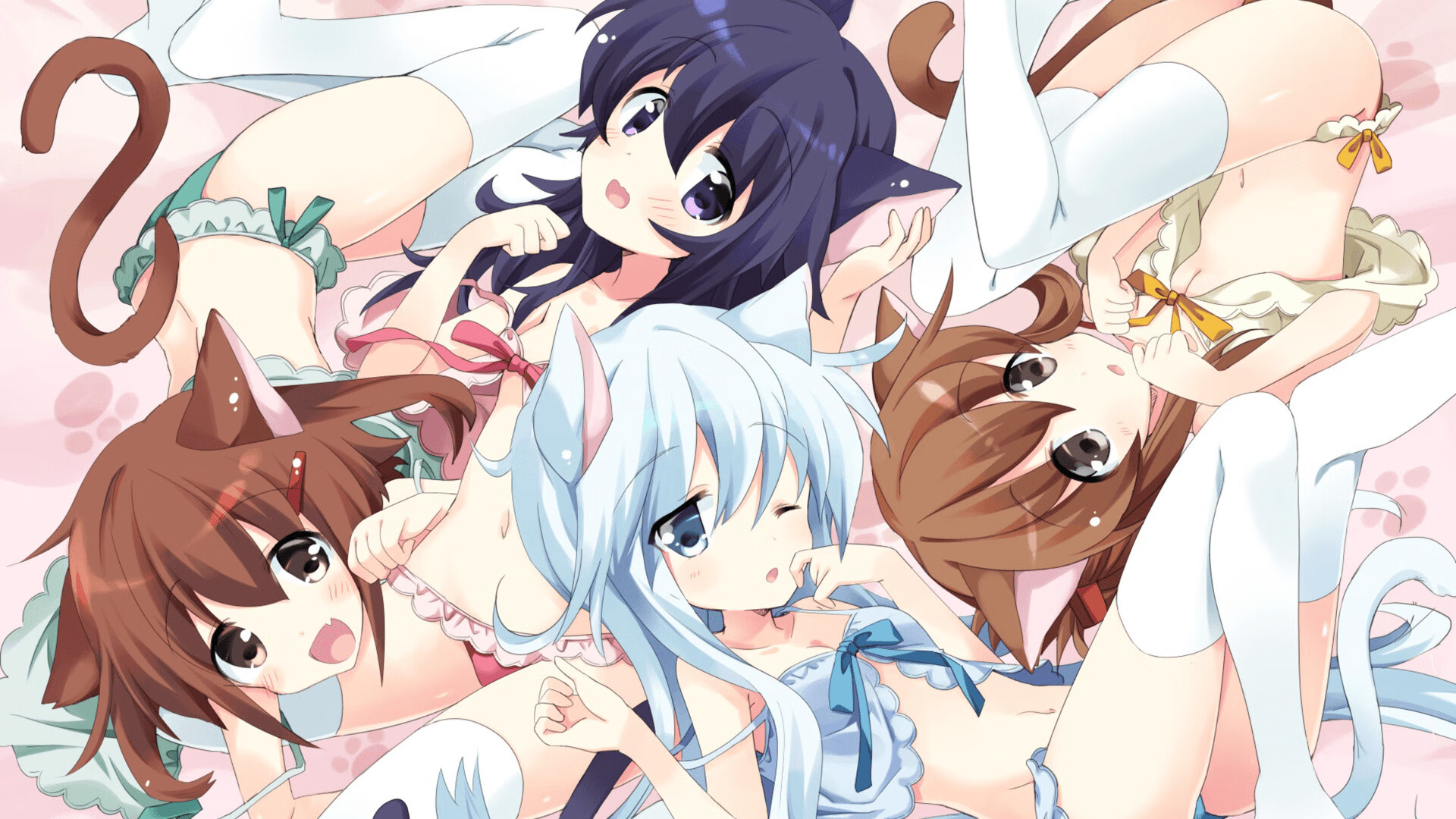 kaiyun网站-女子泳将赛后含泪致谢团队,女子游泳重赛结果