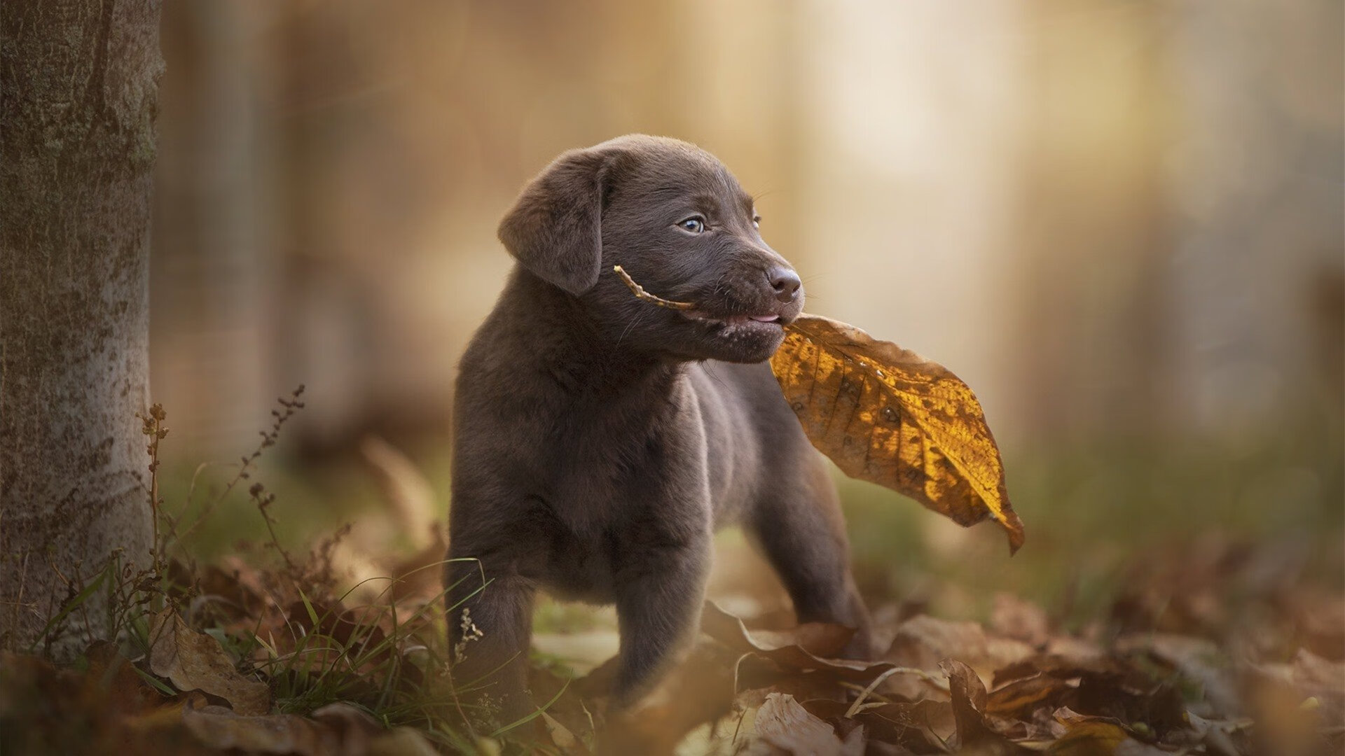 KAIYUN 中国大陆-数据证明转身推壁质量决定中程表现