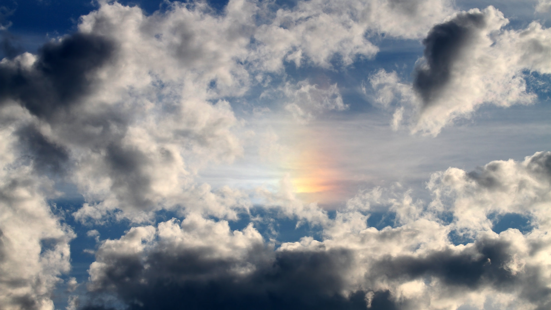 开云中国-青少年体育赛事助力健康成长,青少年体育赛事体系