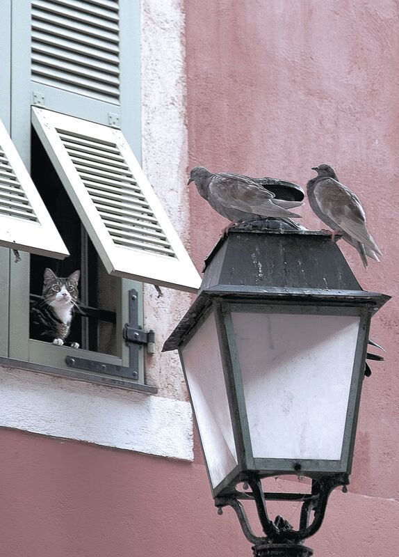 开云网页版-CBA球员培训课程覆盖财务管理与职业规划内容,cba培训班