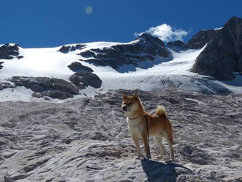 开云网页版-CBA球员培训课程覆盖财务管理与职业规划内容,cba培训班