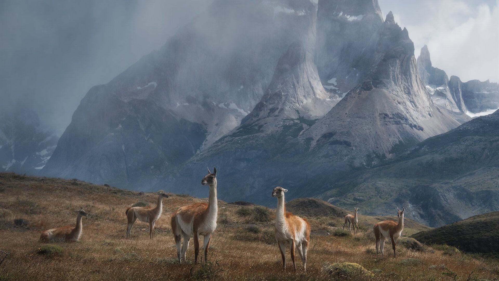 kaiyun官方入口登录-中国足球吸引外籍教练和专家参与提升实力,中国足球吸引外籍教练和专家参与提升实力的是谁