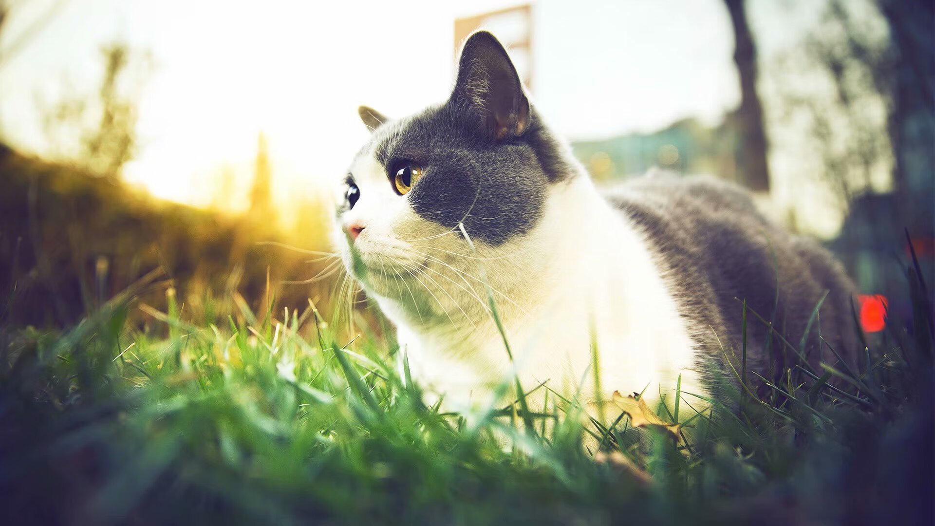 kaiyun开云·官方网站-体育场馆智能化升级方案，体育场馆智能化升级方案怎么写