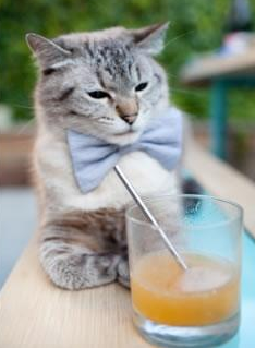 开云官网APP下载-女子4×200米自由泳接力美国队表现抢眼,女子4×200米自由泳接力决赛录像