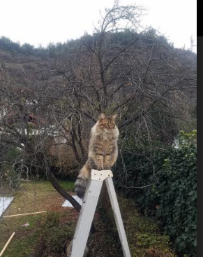 Kaiyun官方登录入口-库里突破分球助攻数据持续提升,库里运球突破