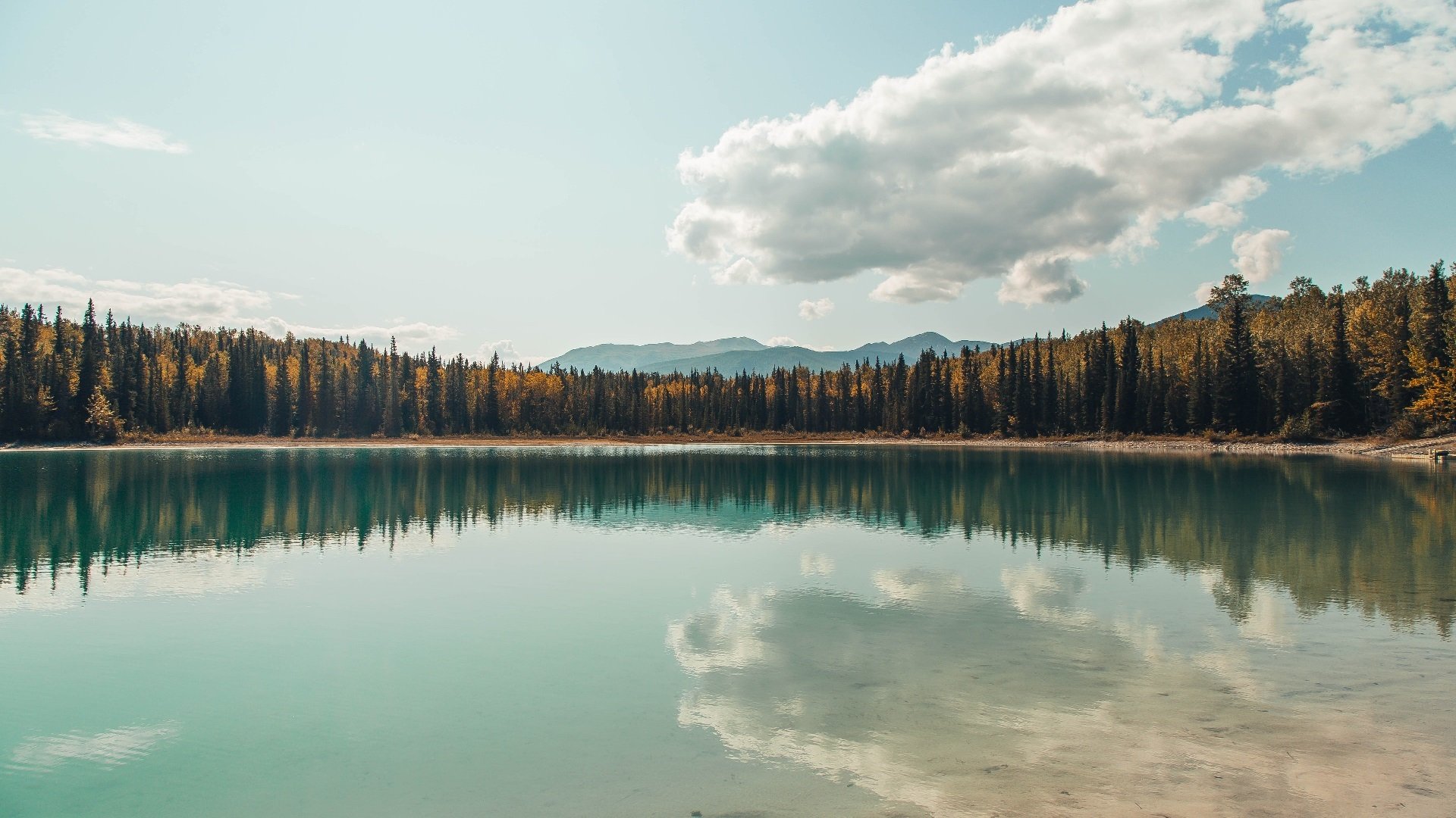 开云官方网站-湖人交易新援提升内线高度，湖人交易最新消息目标