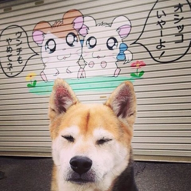 kaiyun官方网站-电子竞技健康管理指南发布实施，电竞选手健康管理