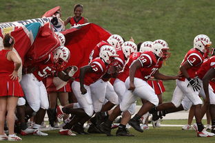 开云kaiyun-CBA是否鼓励球队建立多元化的青年培养体系，cba青年队一般几岁